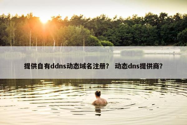 提供自有ddns动态域名注册？ 动态dns提供商？