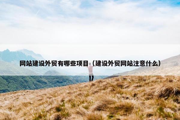 网站建设外贸有哪些项目（建设外贸网站注意什么）