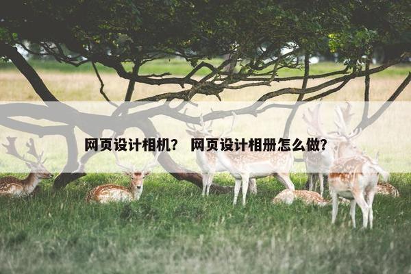 网页设计相机？ 网页设计相册怎么做？