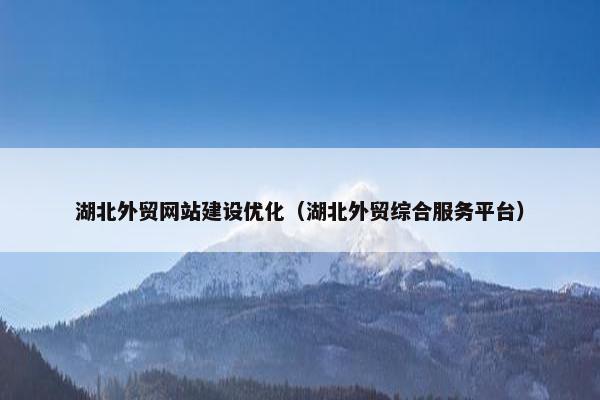 湖北外贸网站建设优化（湖北外贸综合服务平台）