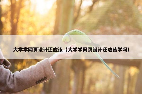 大学学网页设计还应该（大学学网页设计还应该学吗）