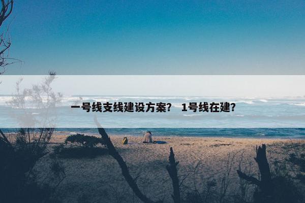 一号线支线建设方案？ 1号线在建？