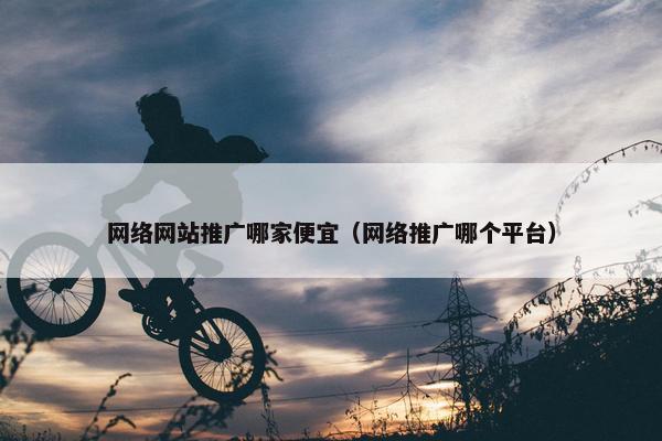 网络网站推广哪家便宜（网络推广哪个平台）