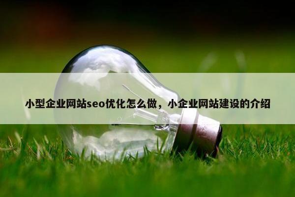 小型企业网站seo优化怎么做，小企业网站建设的介绍