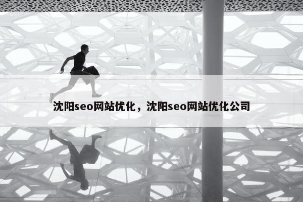 沈阳seo网站优化，沈阳seo网站优化公司