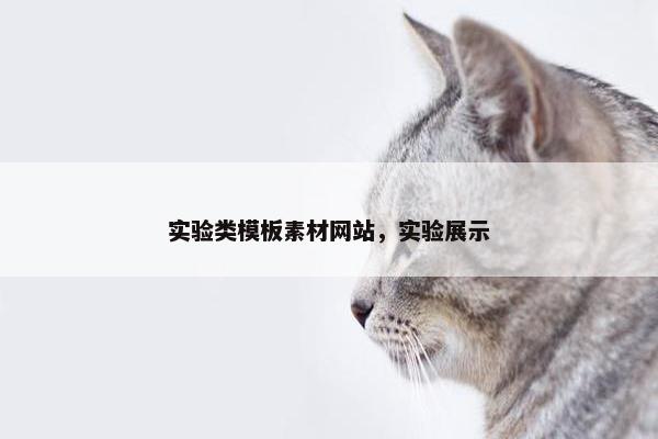 实验类模板素材网站，实验展示