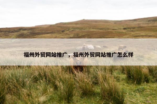 福州外贸网站推广，福州外贸网站推广怎么样