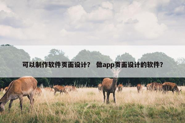 可以制作软件页面设计？ 做app页面设计的软件？