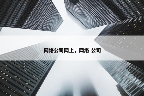 网络公司网上，网络 公司