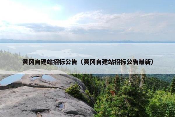 黄冈自建站招标公告（黄冈自建站招标公告最新）