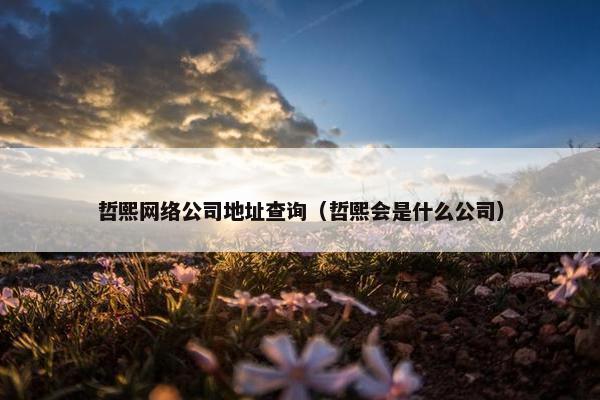 哲熙网络公司地址查询（哲熙会是什么公司）