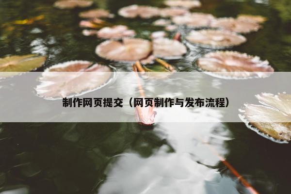 制作网页提交（网页制作与发布流程）