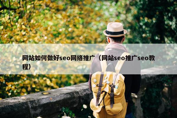 网站如何做好seo网络推广（网站seo推广seo教程）