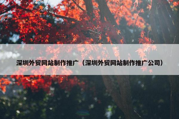 深圳外贸网站制作推广（深圳外贸网站制作推广公司）