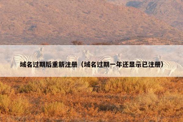 域名过期后重新注册（域名过期一年还显示已注册）