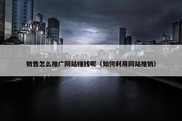 销售怎么推广网站赚钱呢（如何利用网站推销）