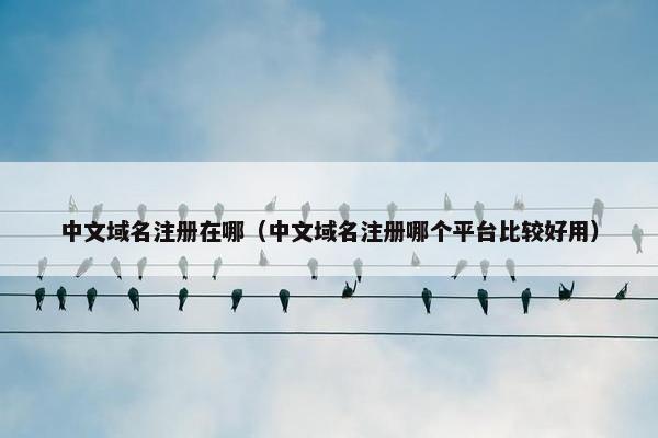 中文域名注册在哪(中文域名注册哪个平台比较好用) 中文域名注册在哪(中文域名注册哪个平台比较好用)