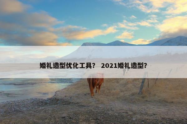婚礼造型优化工具？ 2021婚礼造型？