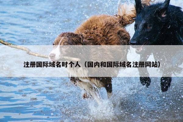 注册国际域名时个人（国内和国际域名注册网站）