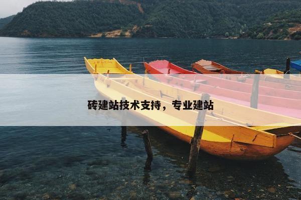 砖建站技术支持，专业建站