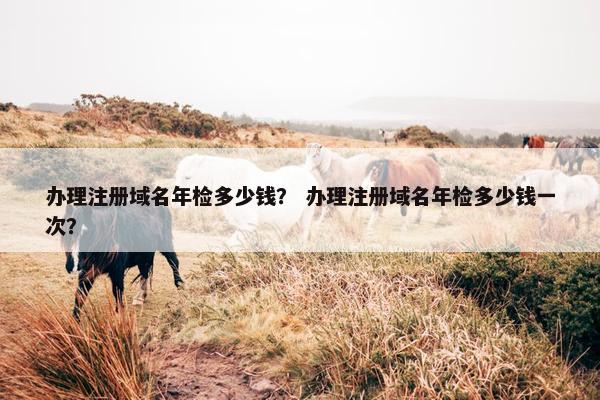 办理注册域名年检多少钱？ 办理注册域名年检多少钱一次？