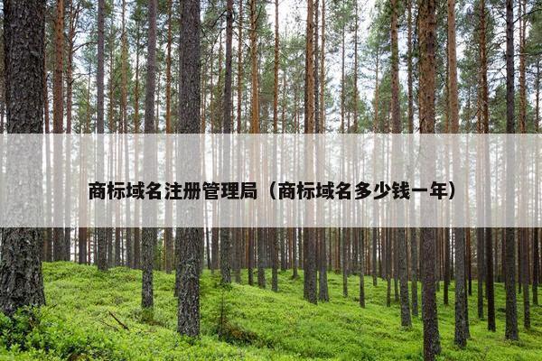 商标域名注册管理局（商标域名多少钱一年）