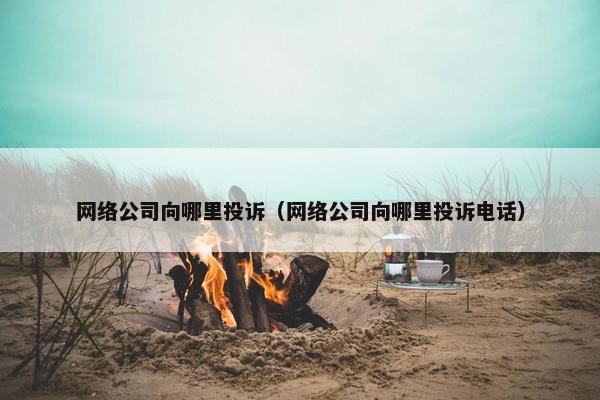 网络公司向哪里投诉（网络公司向哪里投诉电话）