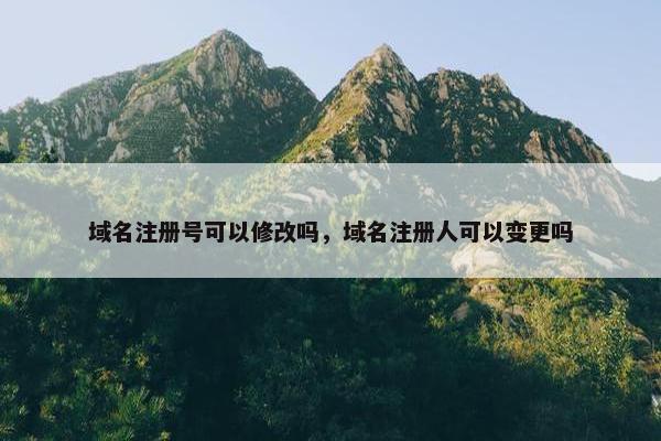 域名注册号可以修改吗，域名注册人可以变更吗