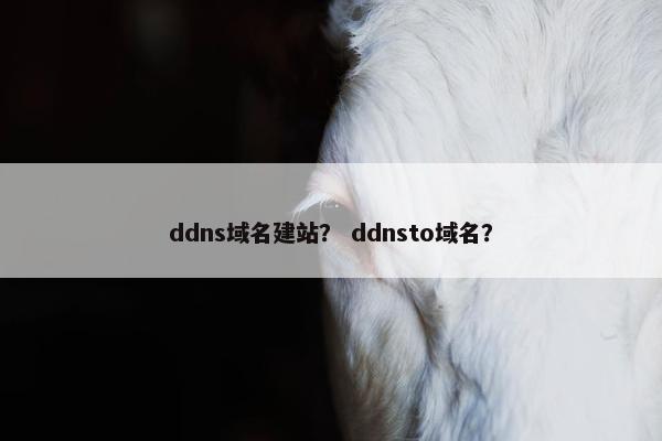ddns域名建站？ ddnsto域名？