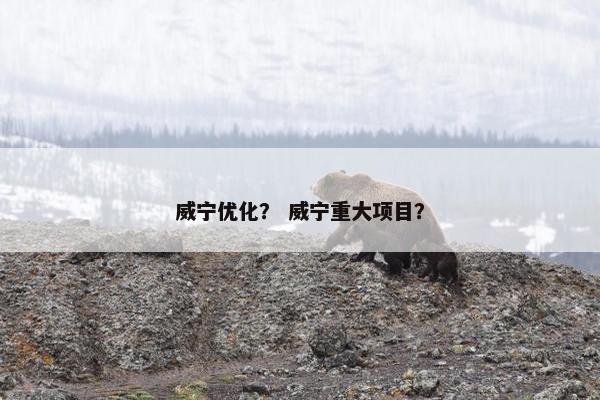 威宁优化？ 威宁重大项目？