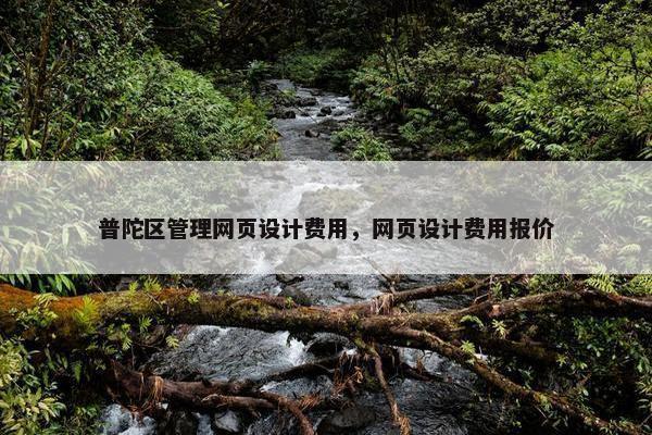 普陀区管理网页设计费用，网页设计费用报价