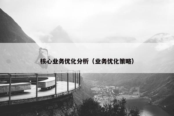 核心业务优化分析（业务优化策略）
