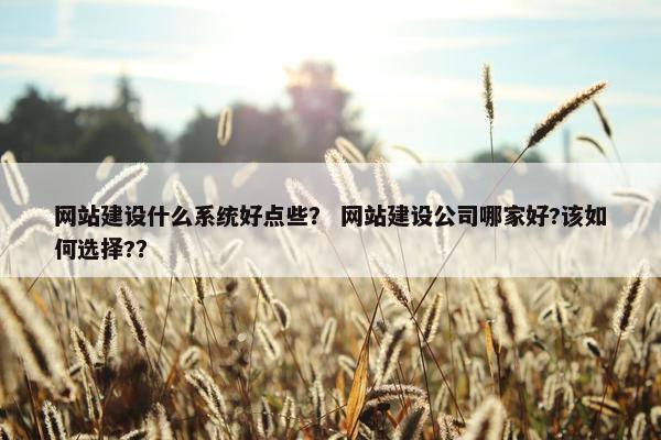 网站建设什么系统好点些？ 网站建设公司哪家好?该如何选择?？