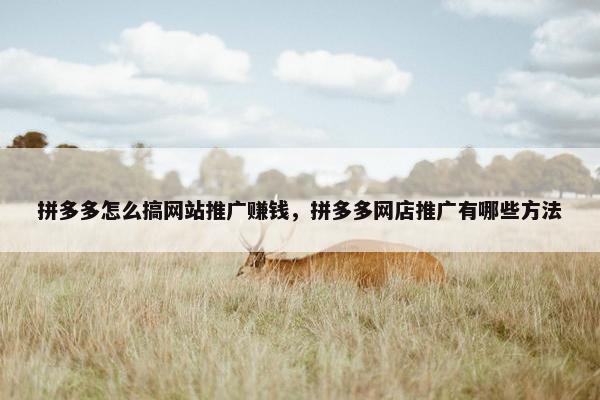 拼多多怎么搞网站推广赚钱,拼多多网店推广有哪些方法 拼多多怎么搞网站推广赚钱,拼多多网店推广有哪些方法