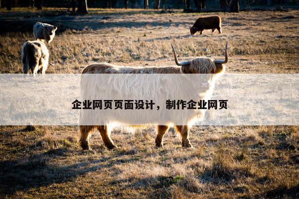 企业网页页面设计，制作企业网页