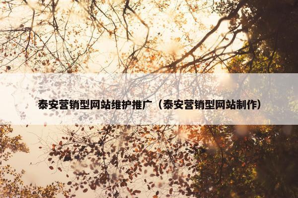 泰安营销型网站维护推广（泰安营销型网站制作）