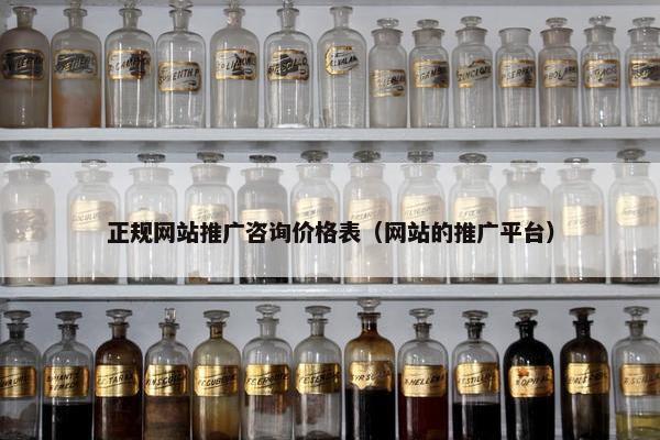 正规网站推广咨询价格表（网站的推广平台）
