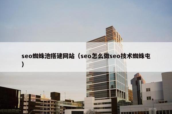 seo蜘蛛池搭建网站（seo怎么做seo技术蜘蛛屯）