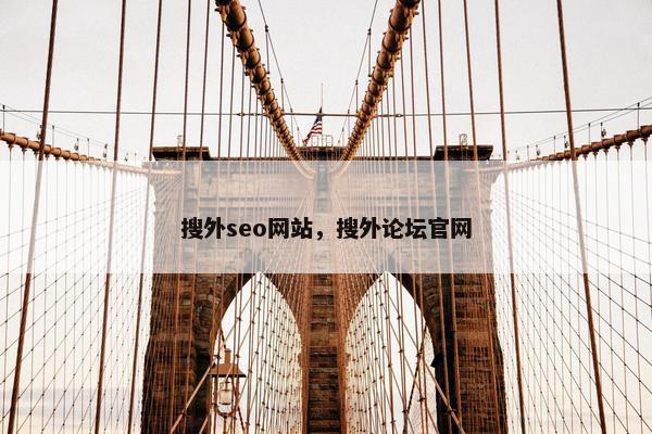 搜外seo网站，搜外论坛官网