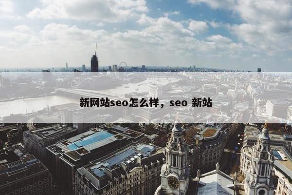 新网站seo怎么样，seo 新站