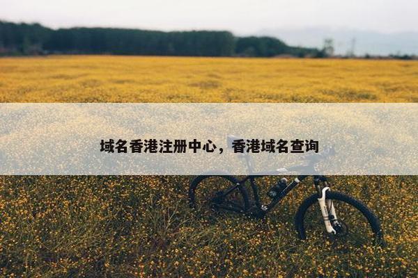 域名香港注册中心，香港域名查询