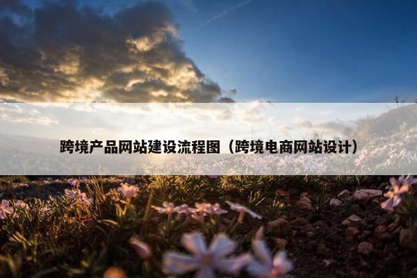跨境产品网站建设流程图（跨境电商网站设计）
