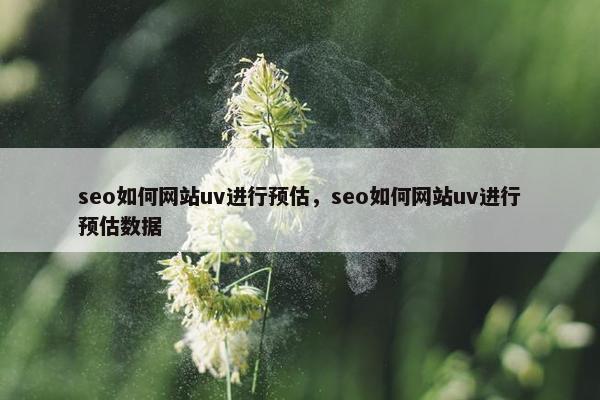 seo如何网站uv进行预估，seo如何网站uv进行预估数据