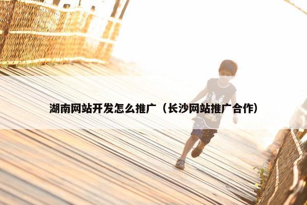 湖南网站开发怎么推广（长沙网站推广合作）