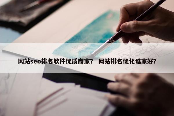 网站seo排名软件优质商家？ 网站排名优化谁家好？