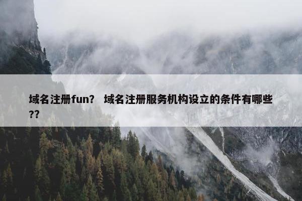 域名注册fun？ 域名注册服务机构设立的条件有哪些?？