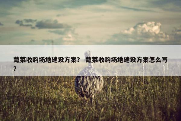 蔬菜收购场地建设方案？ 蔬菜收购场地建设方案怎么写？