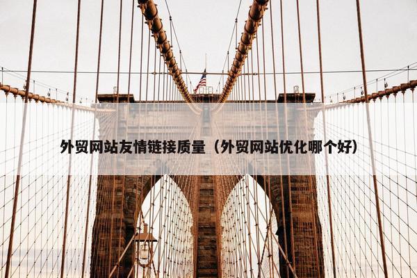 外贸网站友情链接质量（外贸网站优化哪个好）