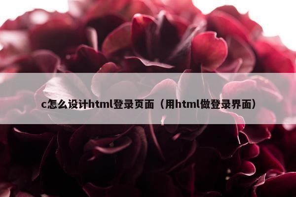 c怎么设计html登录页面（用html做登录界面）