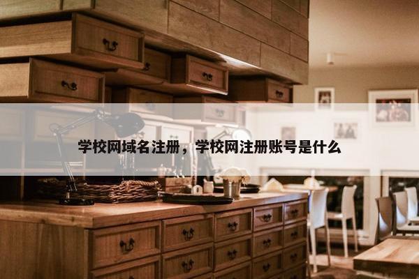学校网域名注册，学校网注册账号是什么